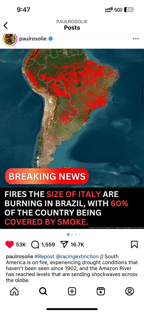 Liv_Boeree's tweet photo. In case you weren’t aware, huge parts of the Amazon rainforest are on currently fire due to an unprecedented drought, and the intentional fires created by cattle farmers to clear ancient forest for more cows (incentivised by Tyson foods) because humanity is too fucking stupid and shortsighted to get its calories from smarter places. 

Our addiction to cheap beef is killing us and the planet we depend upon.