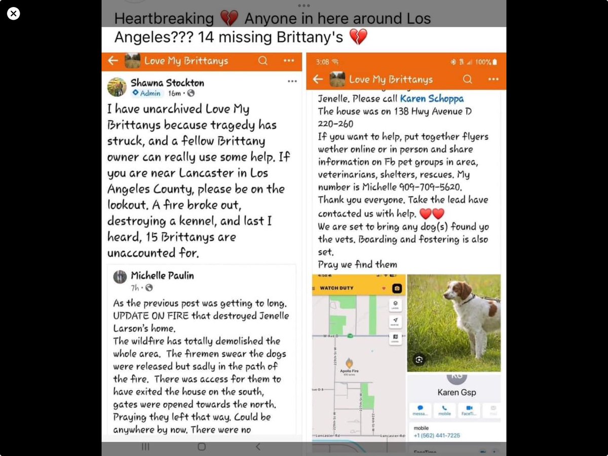 Marilyn (@mdawnrt) on Twitter photo 