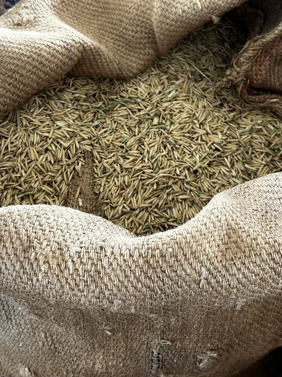 Andy gabbitas tweet media