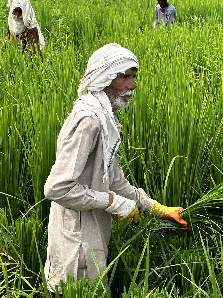 Andy gabbitas tweet media