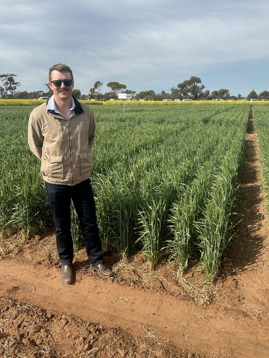 Greg Rebetzke tweet media