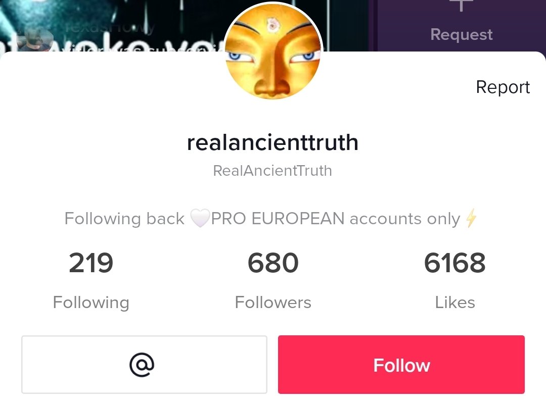 If anyone has tiktok and wants to cyber bully nazis these losers go live fairly frequently, even if you don't feel like interacting it feels good to report and clean up a Lil bit 💕
