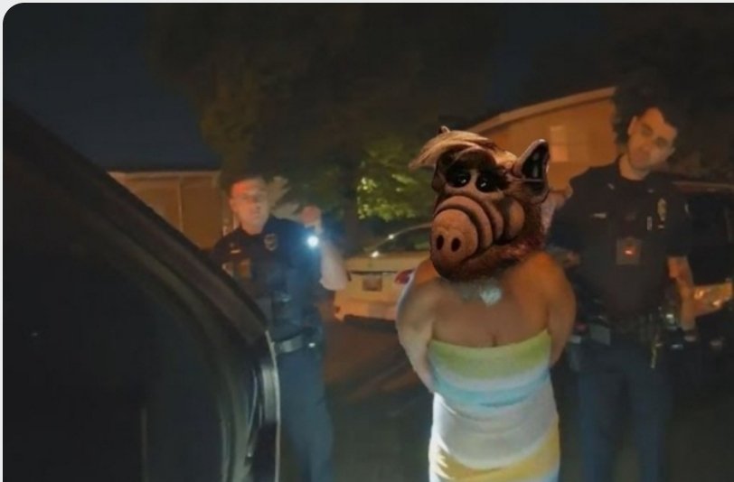 miketesta18's tweet image. #cats #melmac #alf 🤔 💭