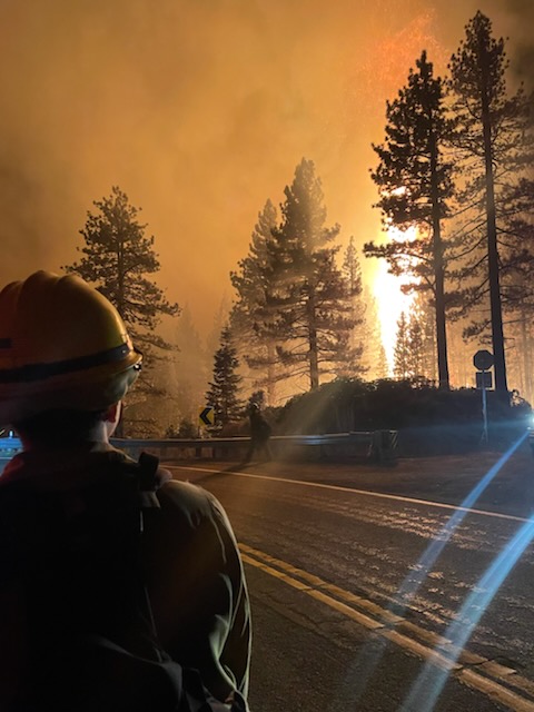Humboldt Toiyabe NF tweet media