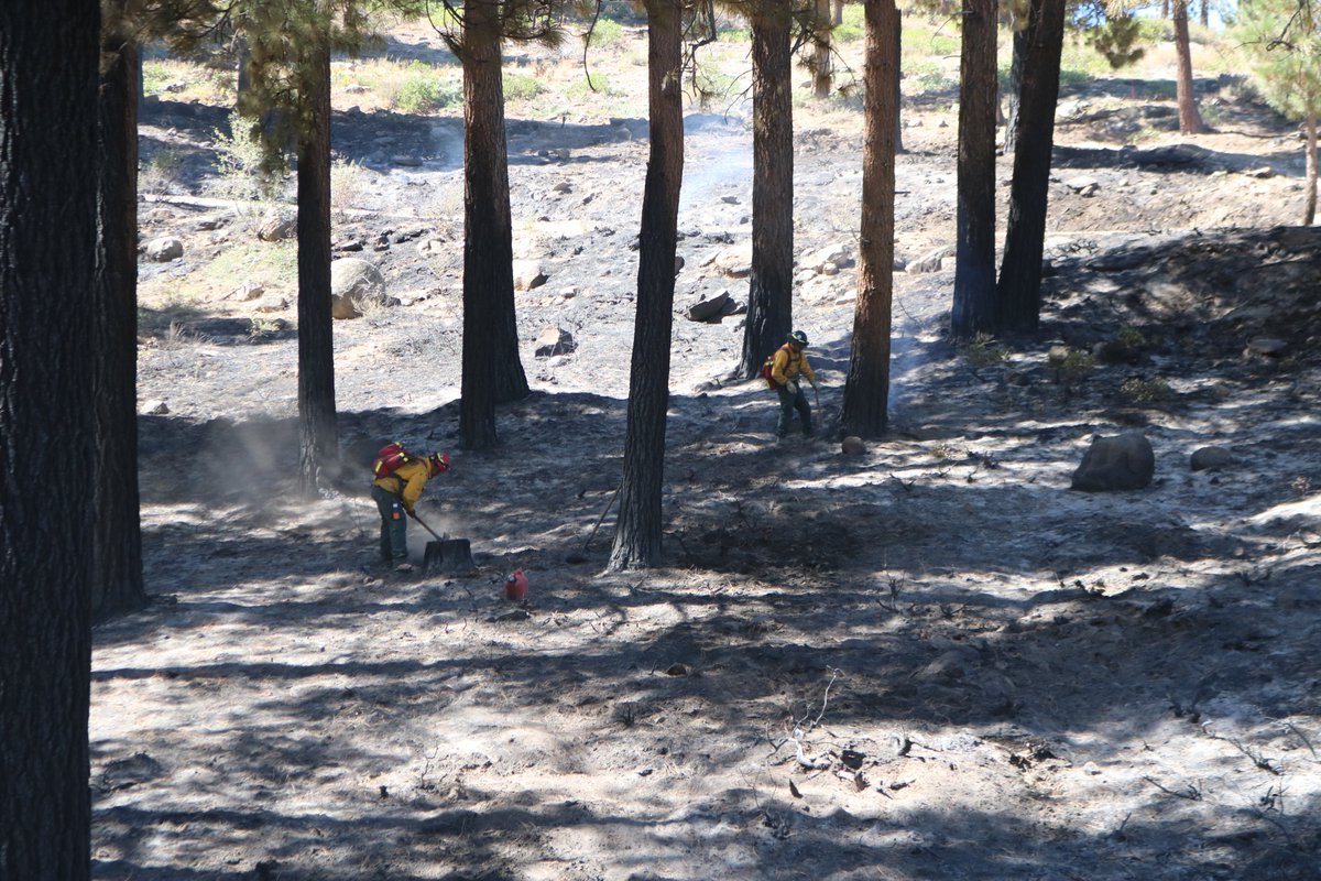 Humboldt Toiyabe NF tweet media