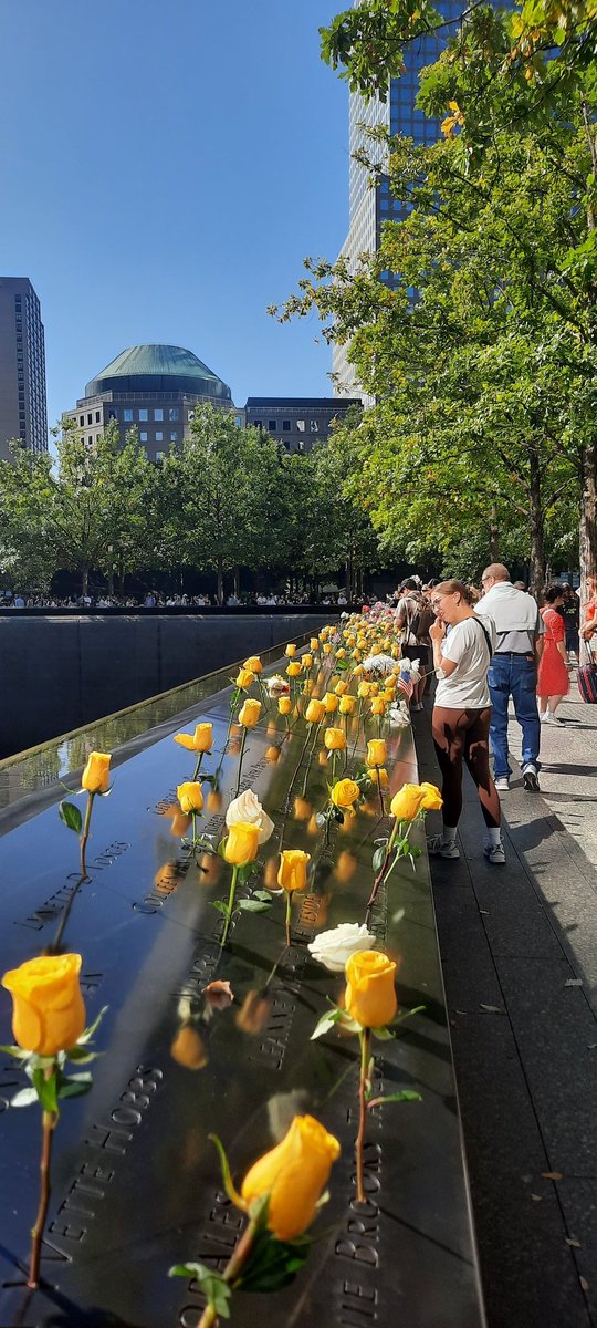 João Raphael da Silva tweet media