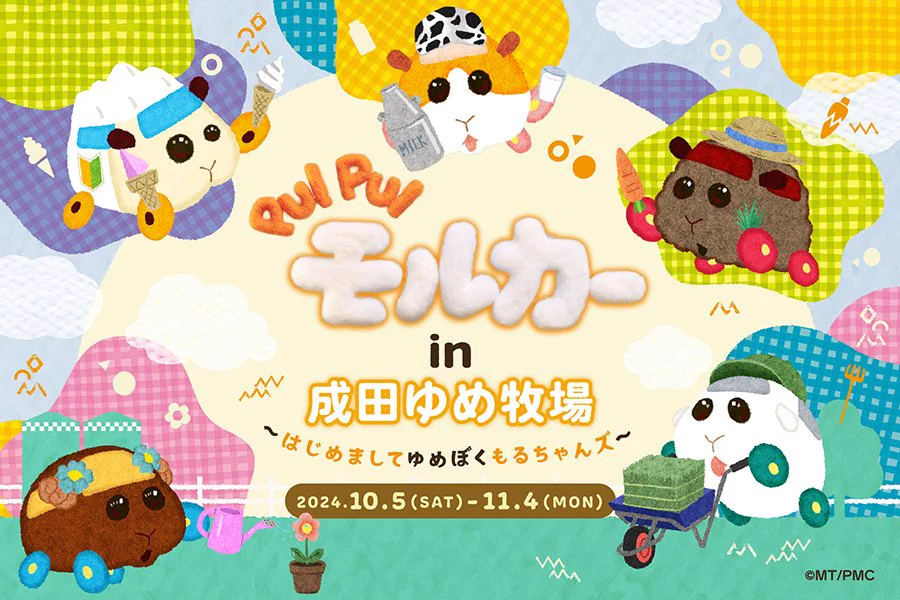 PUI PUI モルカー【公式】 on X: 
