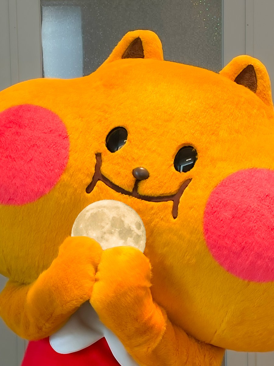 mognny_'s tweet photo. お月さまをつかまえたもぐ！
これでいつでも明るいもぐ～🌕 https://t.co/AHf4gsAWip