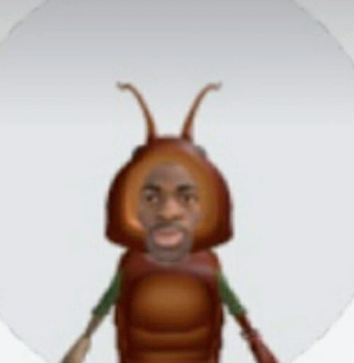 MTV MIAW 😼 tweet media