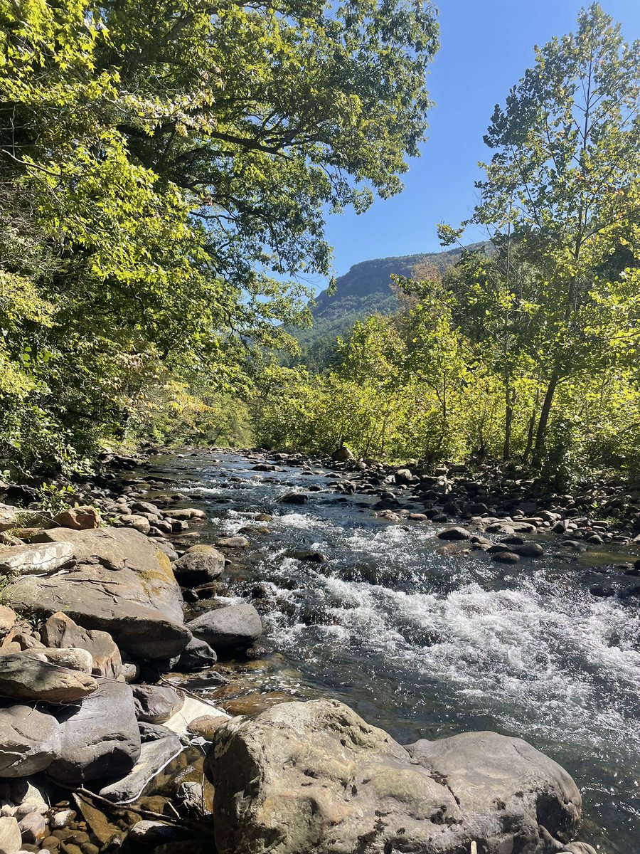 Seth Collings Hawkins tweet media