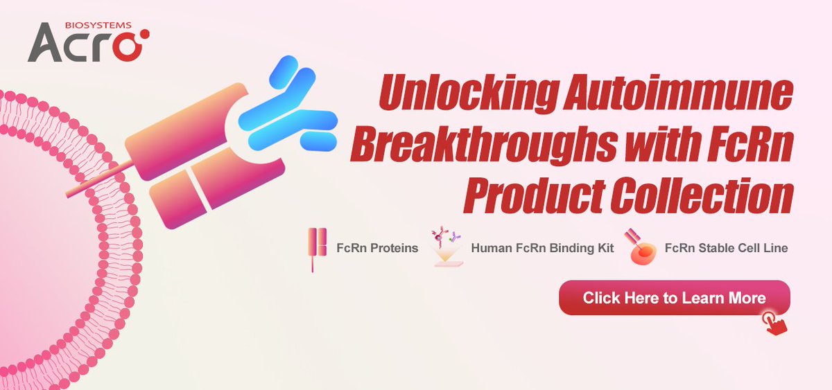The development of FcRn-targeted therapies for autoimmune diseases presents vast and promising prospect. We are excited to offer diverse FcRn products for supporting your drug development journey! Click to explore more: acrobiosystems.com.cn/A1394-FcRn%EF%…