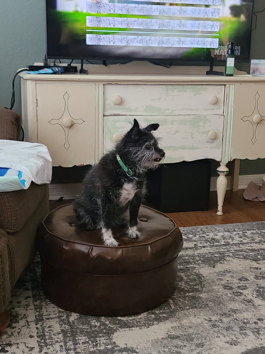 Agatha Christie 😍