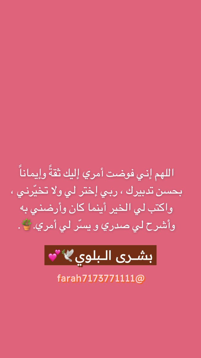 بشرى الشتيوني 🌿. tweet media