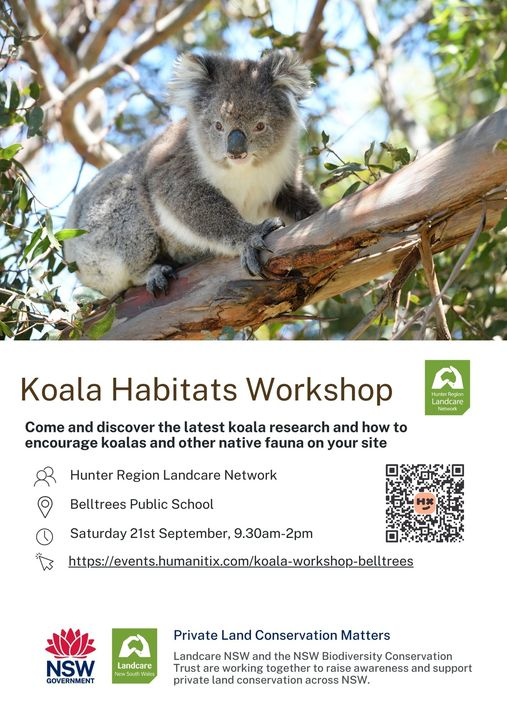 Want to come to a koalaty workshop next Saturday, talking about these furry little critters? 

#upperhunter #koala #landcare #threatenedspecies