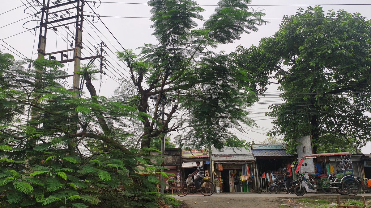 Arpita 🇮🇳 (@arpita_dg) on Twitter photo . <a href="/WBPolice/">West Bengal Police</a> Petrol is being sold illegally in pet bottles at Garia Station on Ganga Jowara Road. Near Sanghasree Playground.
Please take action. 🙏
It can be a huge safety hazard as these shops are in front of the transformer. Possibly they are storing in huge quantity . <a href="/WBPolice/">West Bengal Police</a> Petrol is being sold illegally in pet bottles at Garia Station on Ganga Jowara Road. Near Sanghasree Playground.
Please take action. 🙏
It can be a huge safety hazard as these shops are in front of the transformer. Possibly they are storing in huge quantity
