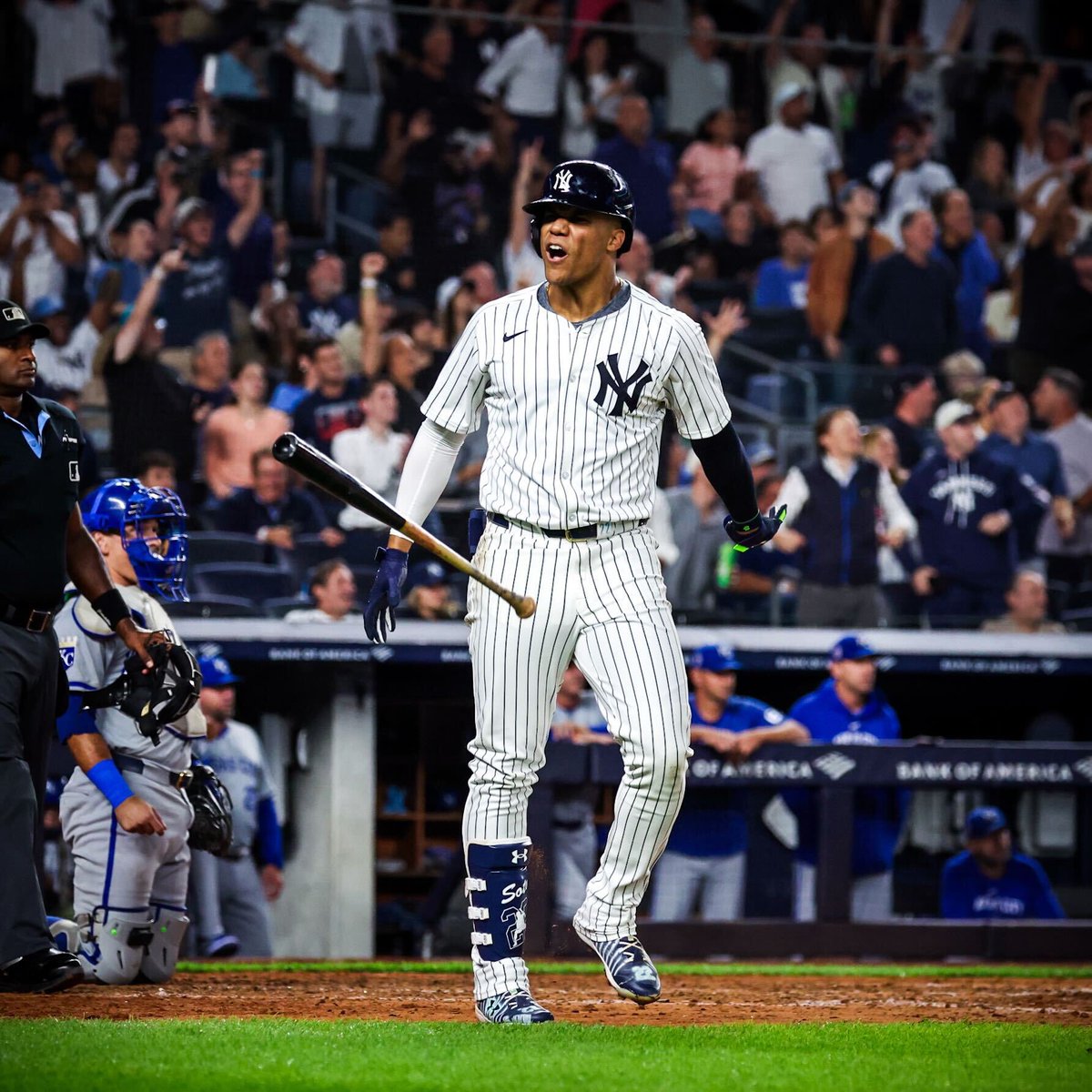YanksPics's tweet photo. Juan Soto, September 11, 2024 https://t.co/8OUDDuHAyV