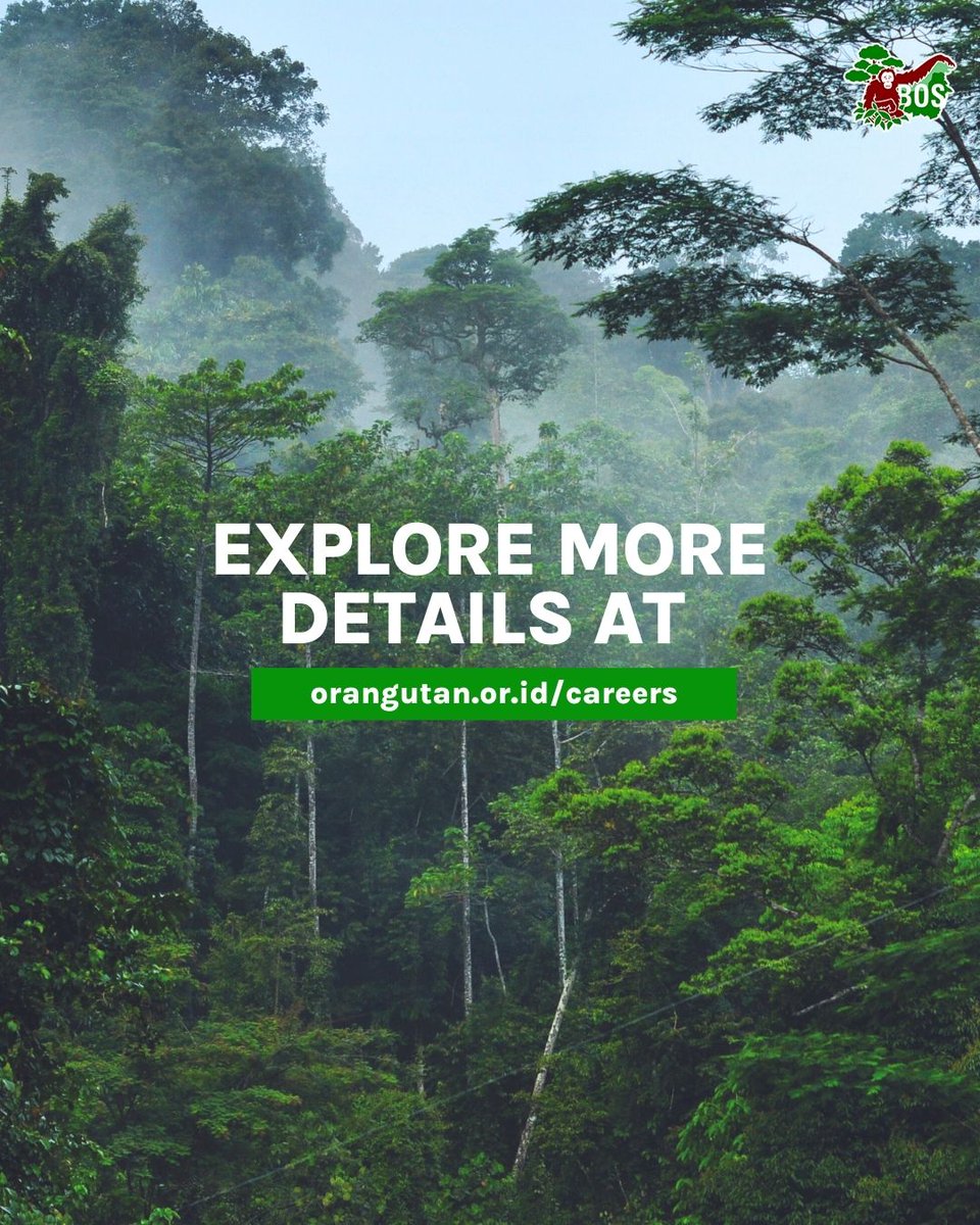 bornean_OU's tweet image. #OpenRecruitment Ready for a new challenge? We’re hiring for the position of Post Release Monitoring Coordinator and Paramedic. If you’re passionate about making a difference and have the skills we’re looking for, send us your resume and let’s create impact together!