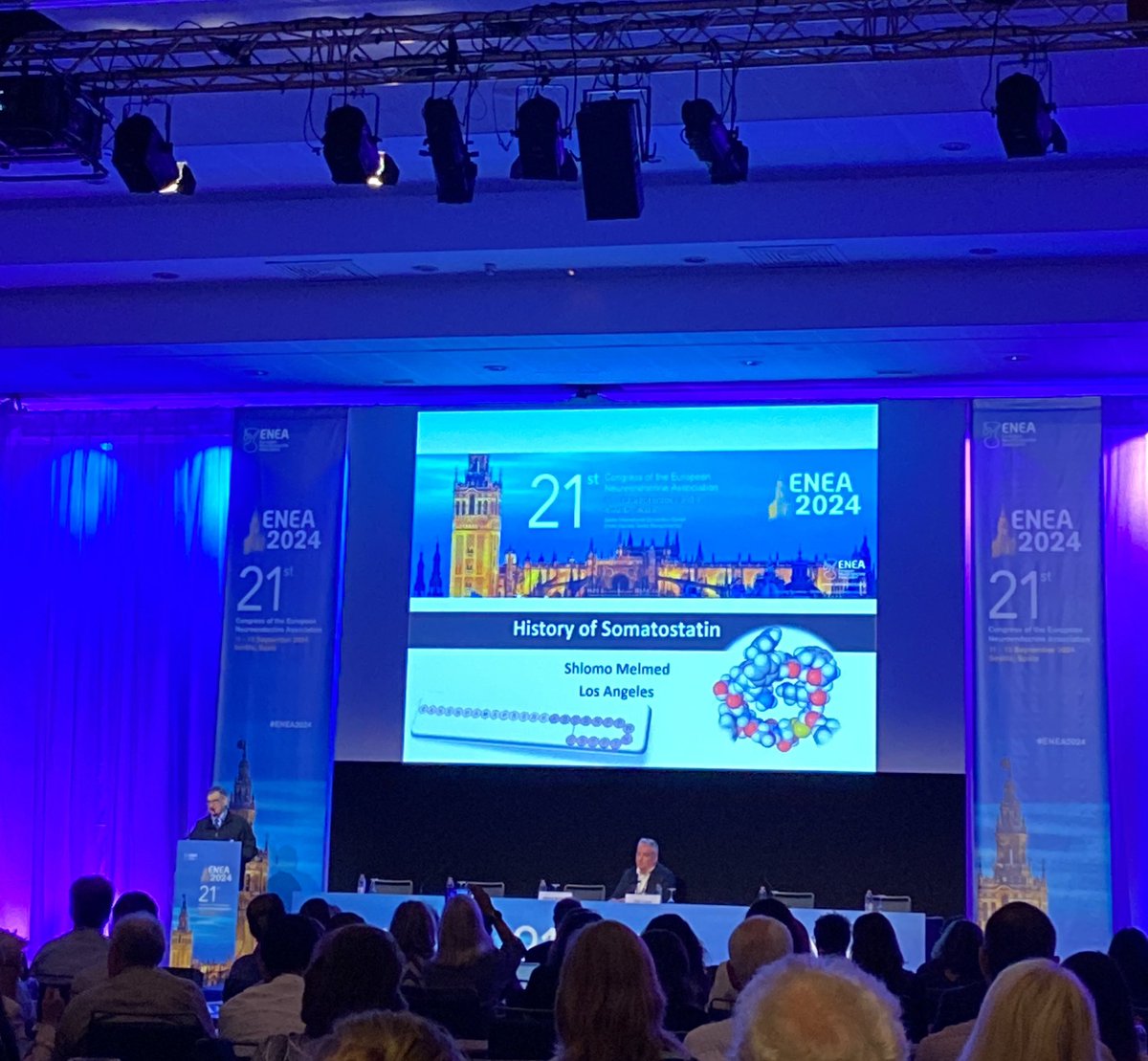 OncObesity and Metabolism Research Group (@oncmet27) on Twitter photo A matchless way to celebrate the 50th anniversary of somatostatin discovery with this Plenary Lecture from <a href="/MelmedShlomo/">Dr. Shlomo Melmed</a> (<a href="/CedarsSinai/">Cedars-Sinai</a> <a href="/CedarsSinaiMed/">Cedars-Sinai Academic Medicine</a>) chaired by #RaulMLuque at the #ENEA2024
🧠🧠🧠 A matchless way to celebrate the 50th anniversary of somatostatin discovery with this Plenary Lecture from <a href="/MelmedShlomo/">Dr. Shlomo Melmed</a> (<a href="/CedarsSinai/">Cedars-Sinai</a> <a href="/CedarsSinaiMed/">Cedars-Sinai Academic Medicine</a>) chaired by #RaulMLuque at the #ENEA2024
🧠🧠🧠