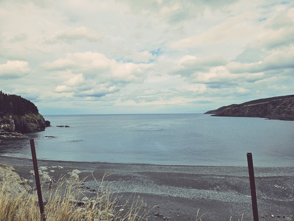 TheREALRavenD's tweet photo. Got to work in this beauty of a playground this week. Thank you Newfoundland - you always know how to make a gal feel loved! 🥰💕 #actorslife #liveyourdreams #NewFoundland #astheravenflies https://t.co/V2Hi7bWGFu