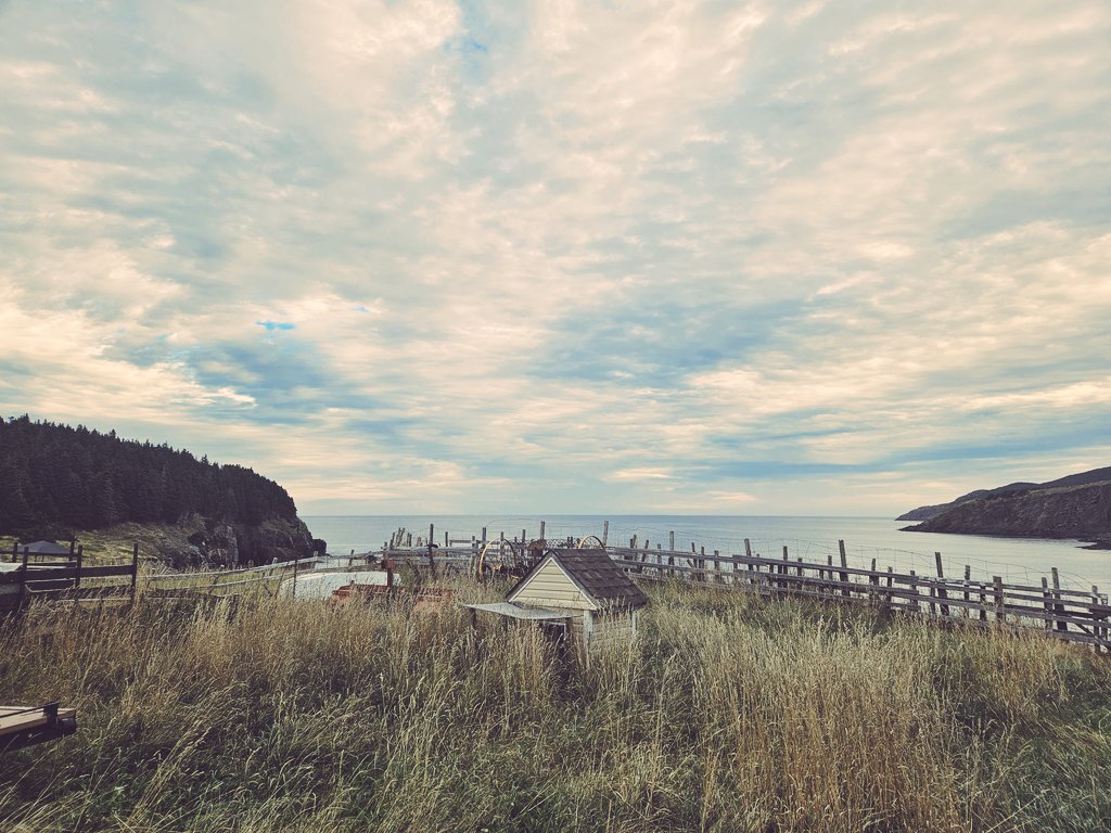 Got to work in this beauty of a playground this week. Thank you Newfoundland - you always know how to make a gal feel loved! 🥰💕 #actorslife #liveyourdreams #NewFoundland #astheravenflies