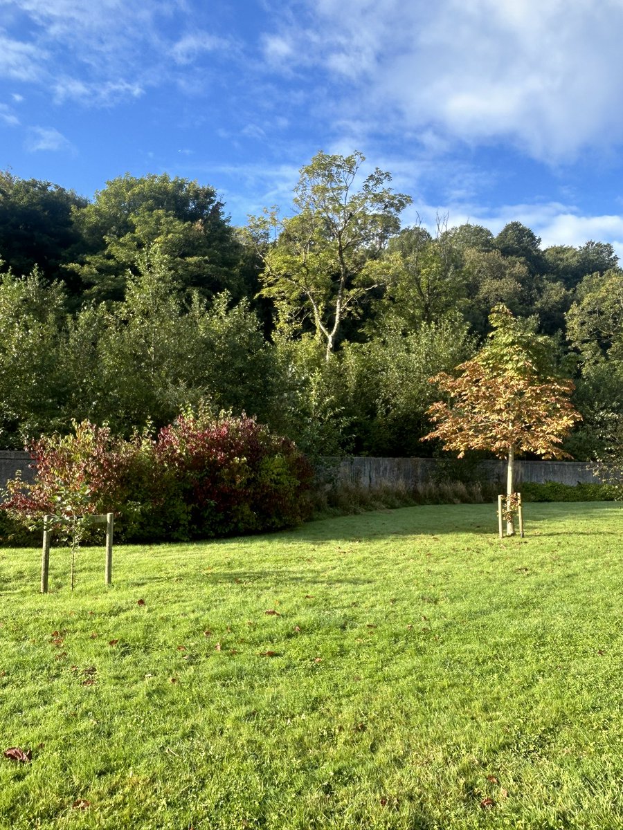 HenryandTed1's tweet image. Autumn muddy puddle dip this morning! 
#pawfect!🐕‍🦺❤️🍂🍁