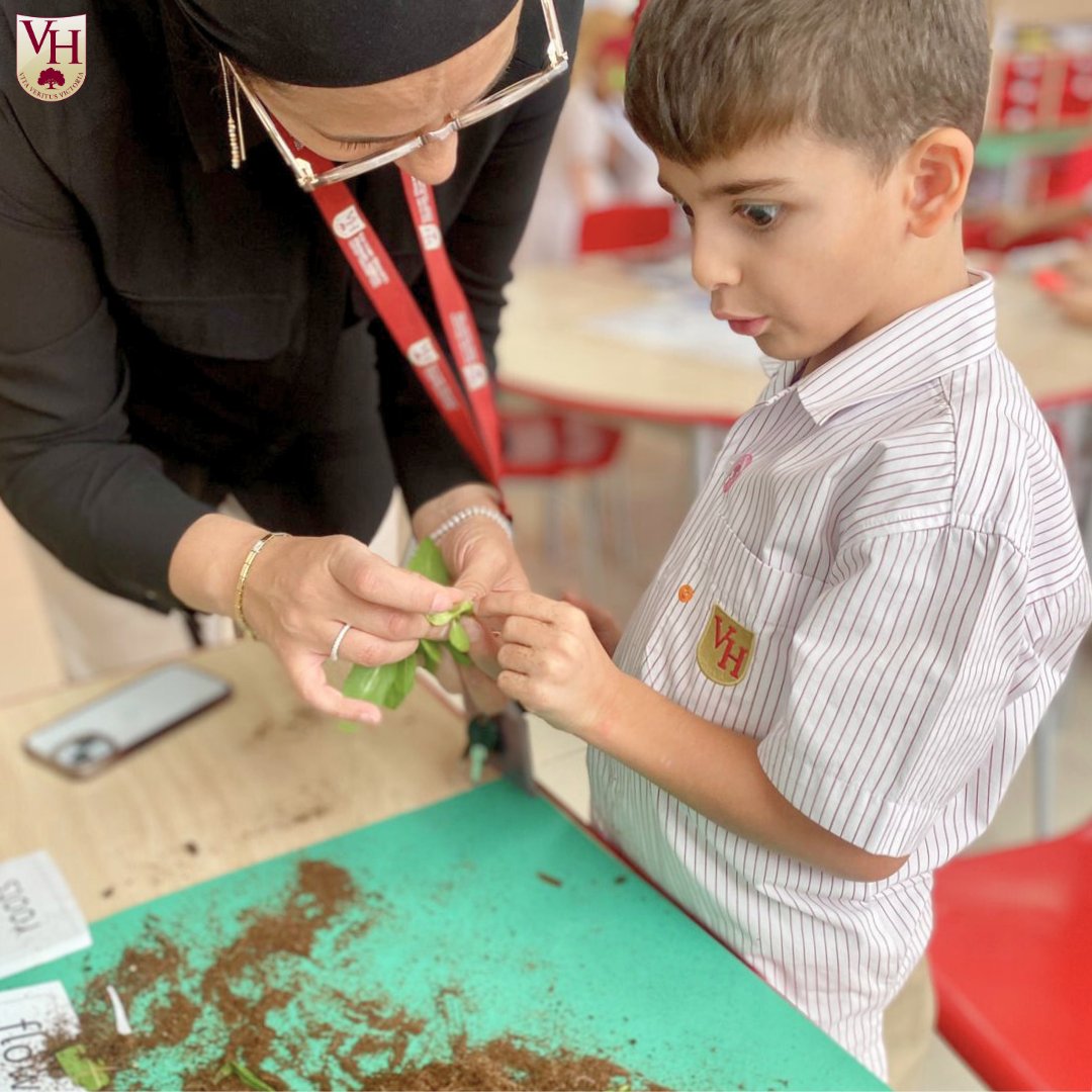 VHPrimary's tweet photo. Year 1 learners today are challenged to explore previous knowledge about plants and seeds. Through detailed questioning and deeper explanation the scientists are really focused and serious about discovery.

#VHPS #VHPSRocks #VHPSLittleThings #VHPSCommunity #BSME #KHDA https://t.co/7ueJYvee9k