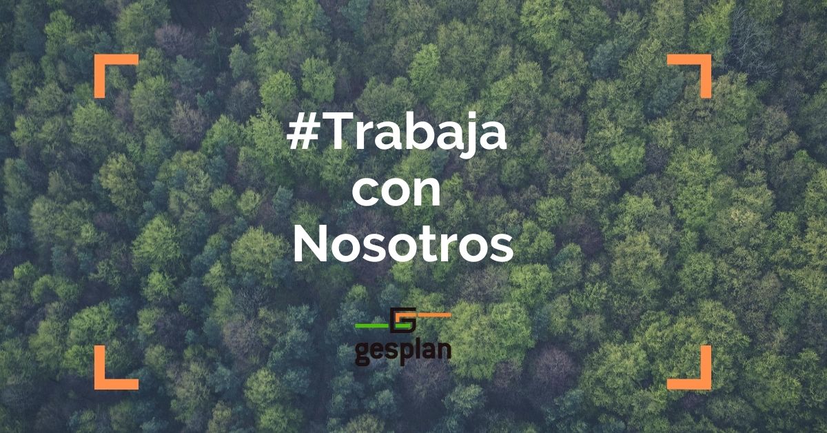 gesplansa's tweet photo. #TrabajaconNosotros | 📢 Se requieren candidaturas de capataz/a y operarios/as especializados/as  a fin de incorporar perfiles a la base de datos destinada a cubrir posibles vacantes en 2024. 📍 La sede del equipo estará en #GranCanaria.
 +info 👇🔗https://t.co/XELwV9Y8bM https://t.co/Hen1IPCHh2