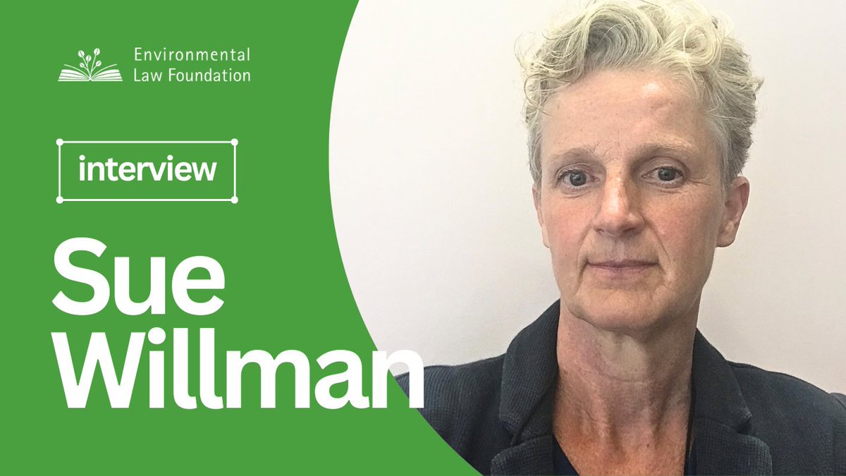 Environmental Law F. tweet media