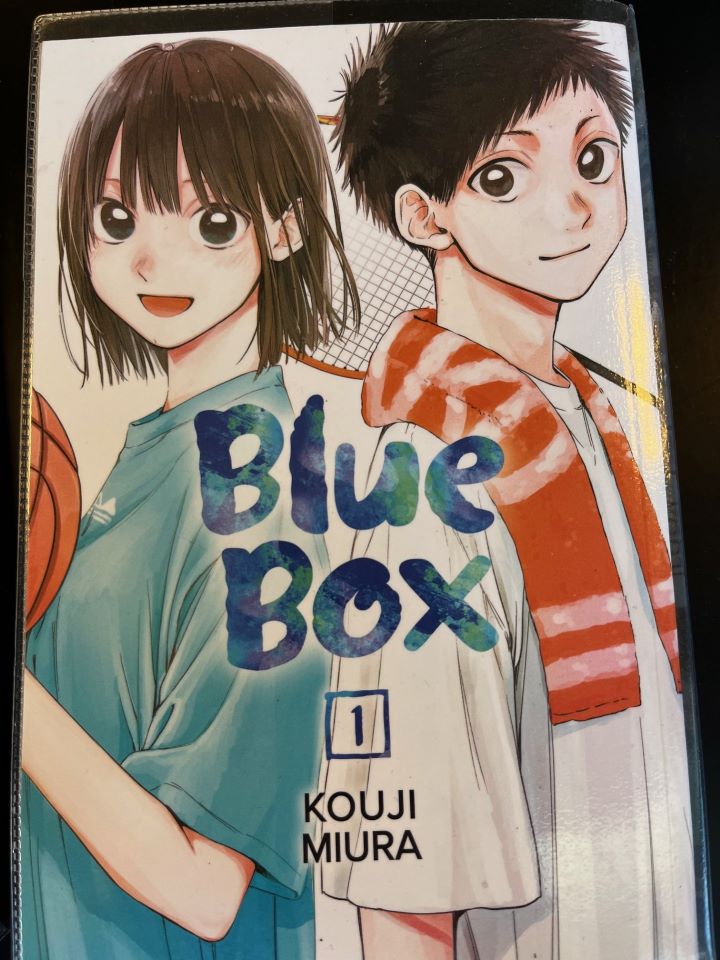 Happy autumn from everyone here at Eastbank School Library.  It's a great time to settle down with a book.  And look - 2 sets of manga have arrived - get down quick to grab copies of Blue Box and Komi Can't Communicate :)