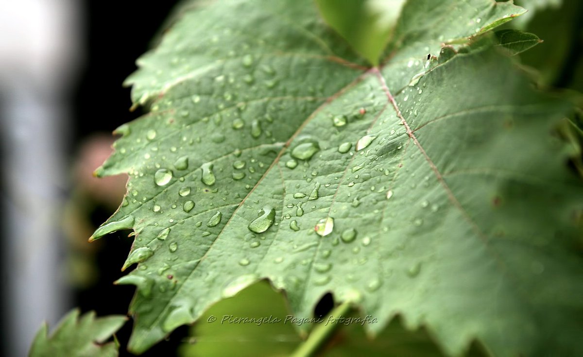 <a href="/ritabianchi56/">RITABIANCHi56</a>