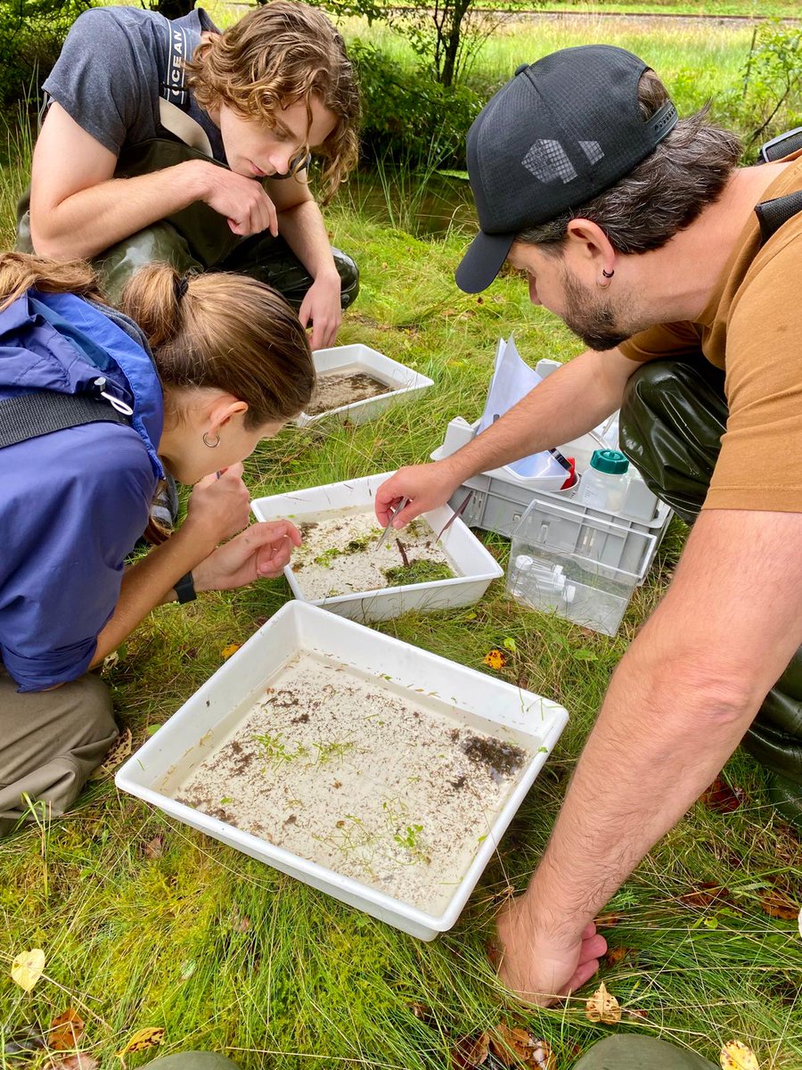 Back in the field for <a href="/riparianet/">Riparianet</a>, sampling in Germany's chilly waters and rain..but who needs a cozy office, right? 🌧️🥶