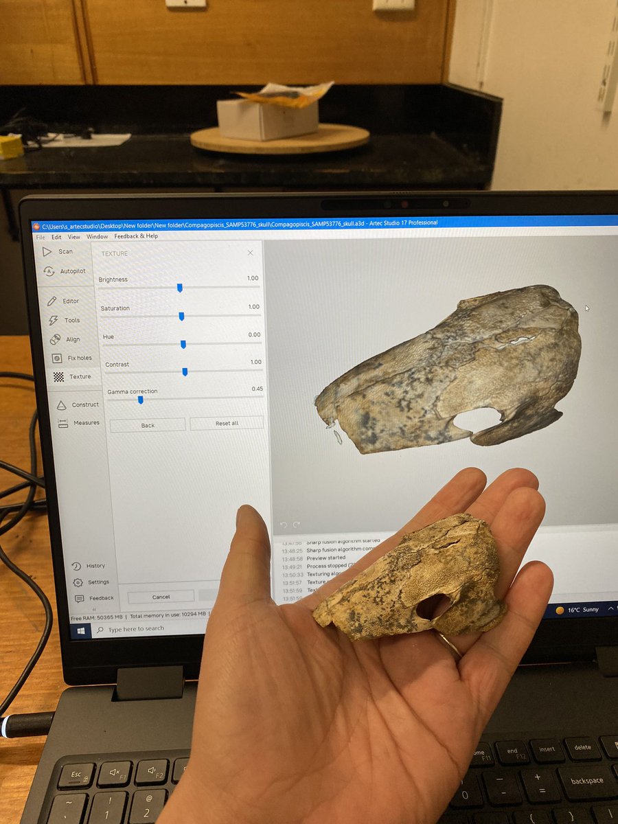 DrAliceClement's tweet photo. Playing with the (Artec) Spider 🕷️ today @FlindersPalaeo @Joshua_Bland99 #LightScanner #Artec #Placoderm #DigitalPalaeontology #Arthrodire https://t.co/DwQj1x6r3R