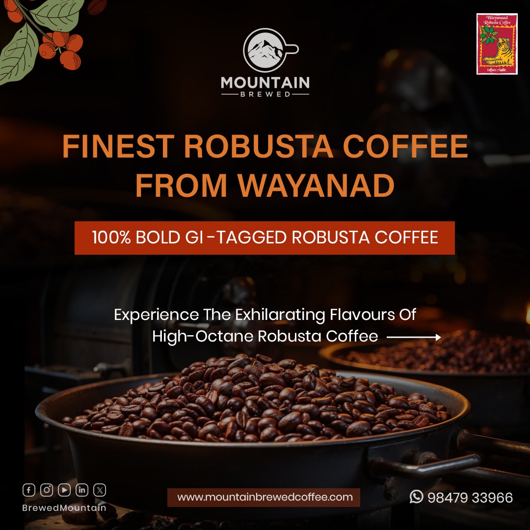 BrewedMountain's tweet photo. 🔥 Power Up Your Day with Classic Robusta Instant Coffee🔥

Our Classic Robusta Instant Coffee blend, infused with chicory, is brewed to perfection with a bold flavor that hits all the right notes! 💥

Get yours: https://t.co/qwYsbO2hJ2

#MountainBrewedCoffee #RobustaCoffee https://t.co/sz8tZgg4Nf