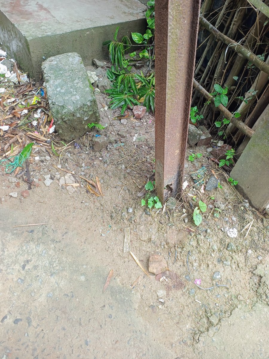 Drx sriman mohan panda tweet media