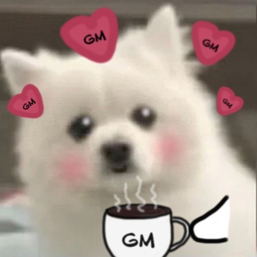 SolOnRoids tweet media