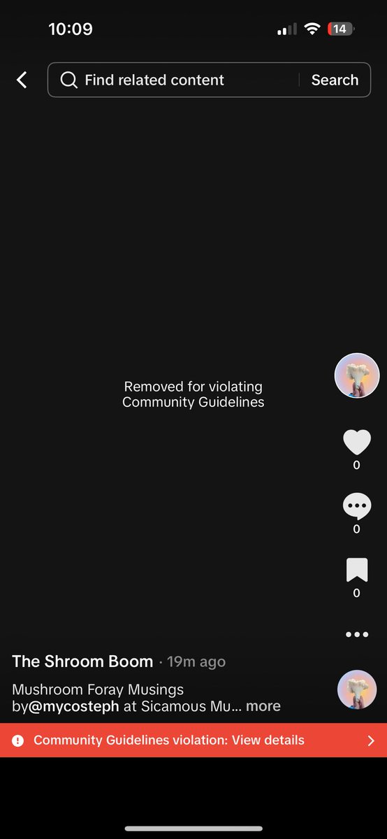 mycosteph's tweet photo. Classic, flagging of culinary mushrooms 😒

@tiktok should hire a mycologist to help teach their algorithm about fungi JUST A LITTLE BIT https://t.co/YcWWqckimw
