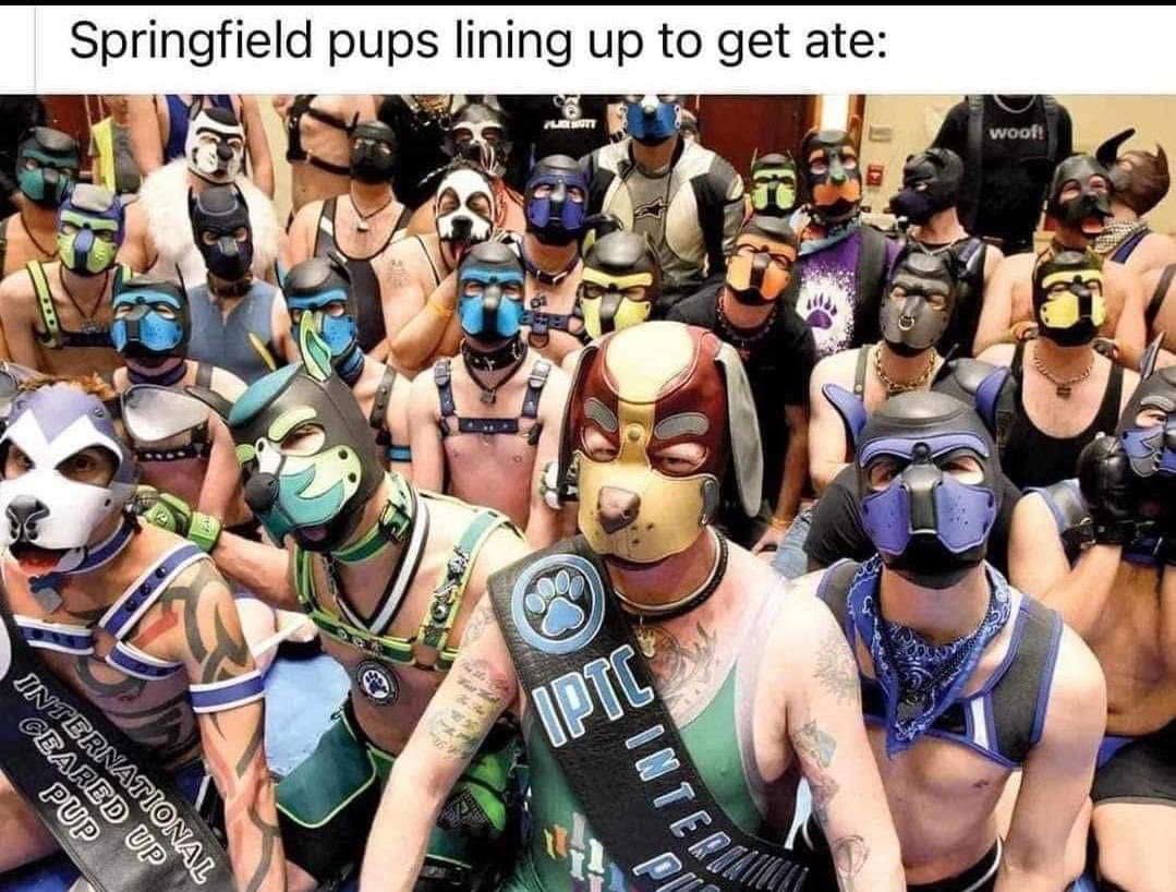 Pup Roger tweet media