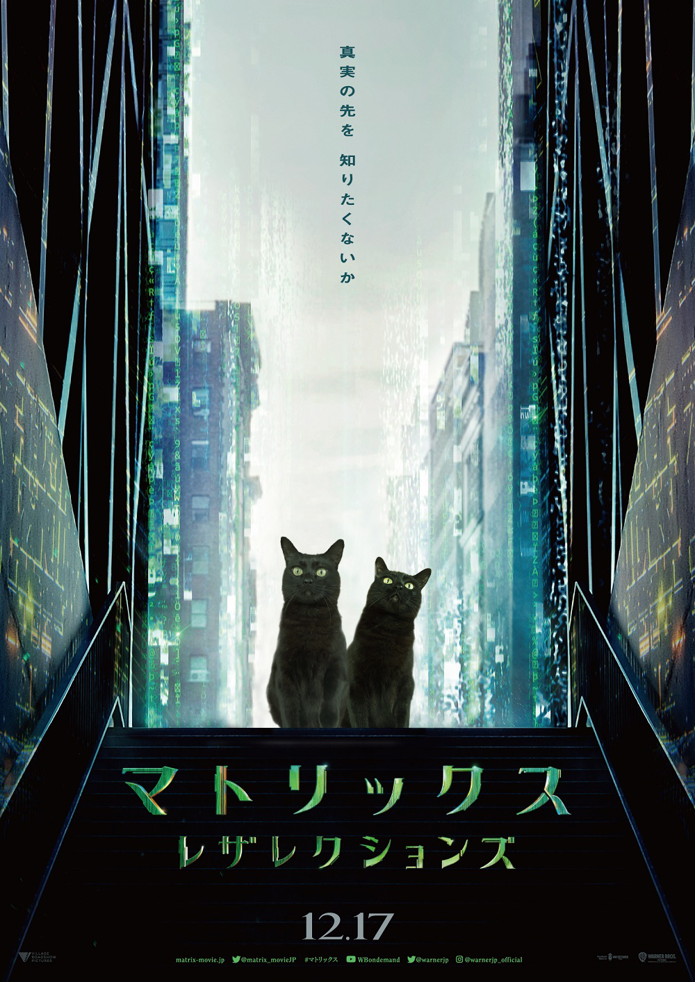 マトリックス レザレクションズ ポスター Amazon.co.jp: 映画 マトリックス レザレクションズ ポスター