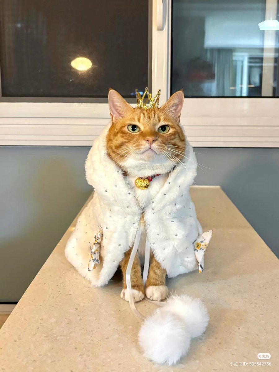 King 👑