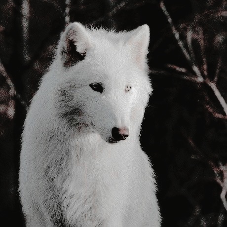 ᅟ ᅟ ᅟ ᅟ ᅟ ᅟ ᅟ ᅟ ᅟ ᅟ ᅟ 𝒂𝑙͟𝑦͟𝑠 𝒔𝑡𝑎𝑟𝑘. (@ncrthmcnn) on Twitter photo 