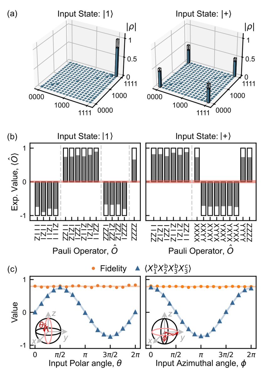 AndreasAtETH's tweet photo. Check out our new manuscript on the “Realization of Constant-Depth Fan-Out with Real-Time Feedforward on a Superconducting Quantum Processor” which just appearded on @arxiv. Read more here: https://t.co/plr38EELoT .
We demonstrate conceptually an important primitive rendering the execution of #quantum circuits more efficient using mid-circuit measurements and real-time conditional feedforwrad.
This work was done at @qudev @ETH_physics @ETHQuantumCntr @ETH_en  and the @ETH_en - @psich_en #Quantum Computing Hub.