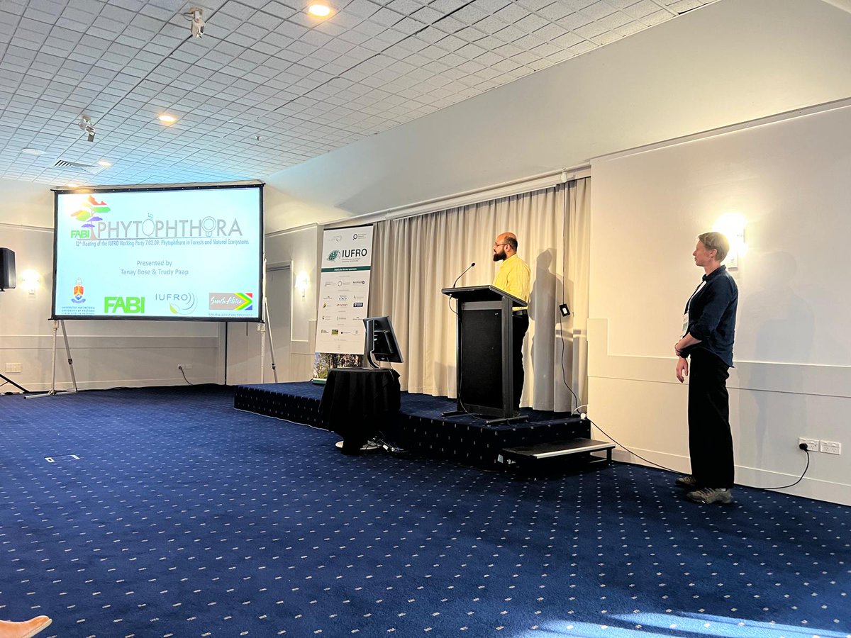 mycobose's tweet photo. "This Time for Africa". We are waiting to welcome you to South Africa 🇿🇦  for the IUFRO 12th Meeting of Phytophthora in Forests and Natural Ecosystems. 📅 13-21 September 2026, Grabouw, South Africa. See you soon! 😁 @Fabiteam1 @IUFRO @UPnasagric @UPTuksRugby #SouthAfrica #africa https://t.co/1t4cL8hsU7