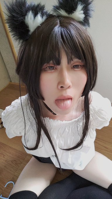 飼い主募集中♡ https://t.co/7zChTRWRa9