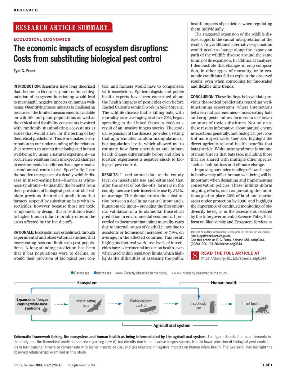 La desaparición casi radical de murciélagos obligó a los agricultores de Nueva Inglaterra (EEUU) a utilizar un 31,1% más de insecticidas para contener las plagas en sus cultivos. Su uso se relaciona potencialmente con un 7,9% más de mortalidad infantil. science.org/doi/epdf/10.11…