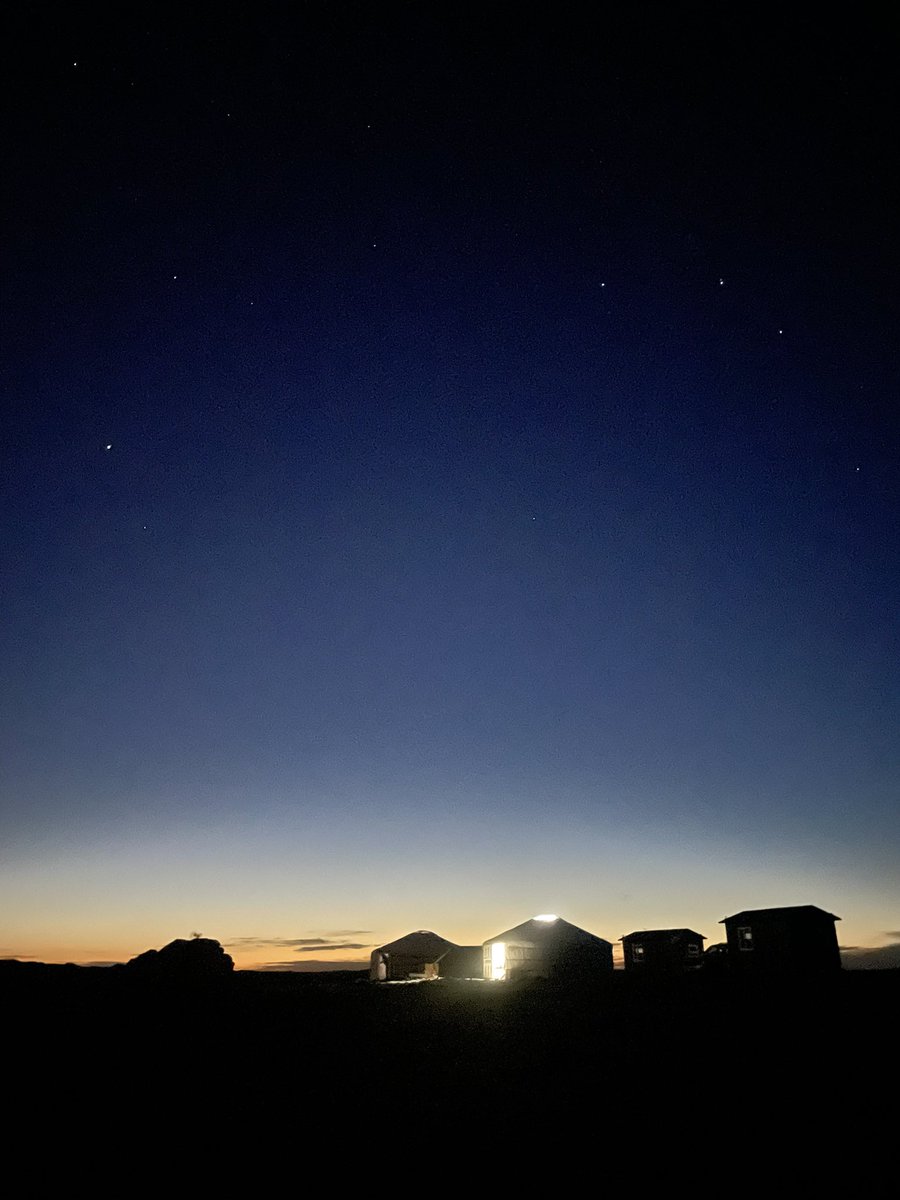 SnowLeopardHope's tweet image. Moments at the (mini) research camp in Gobi, supported by the wonderful camel herding families. Grateful for this team and the journey ahead! #smallstepsforward