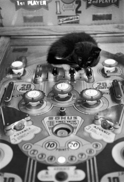 380k.Paris Paname 🔄 tweet media