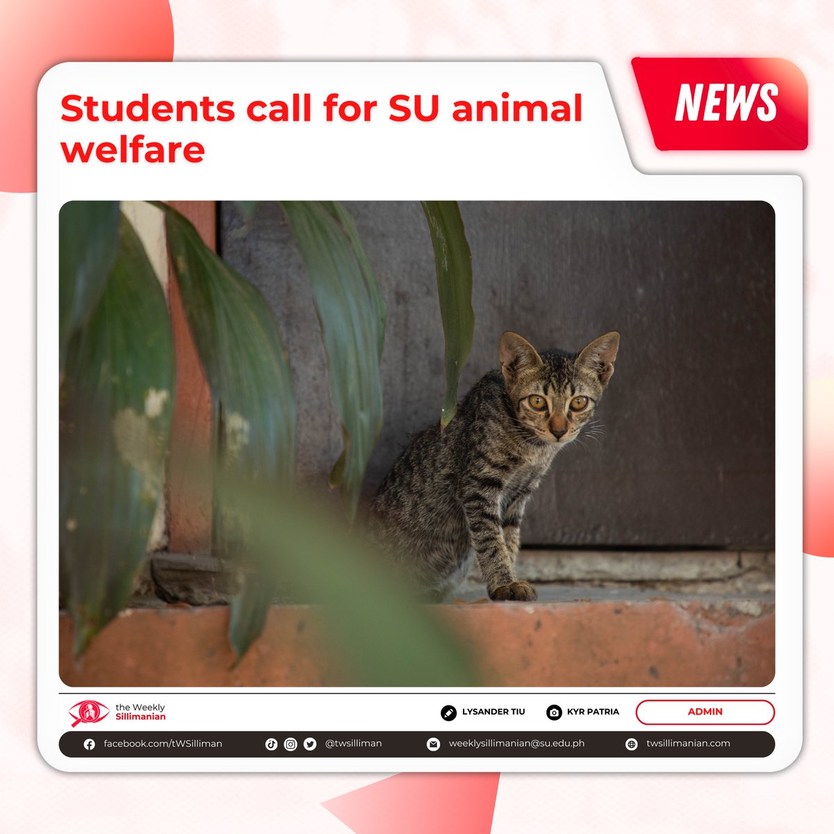 #NEWS: Following the alleged poisoning of cats outside Katipunan Hall, Silliman University Student Government (SUSG) officials urged to reinforce better animal welfare within campus grounds.

READ MORE: medium.com/@weeklysillima…

#tWSMagnify
#tWSStudentInterest