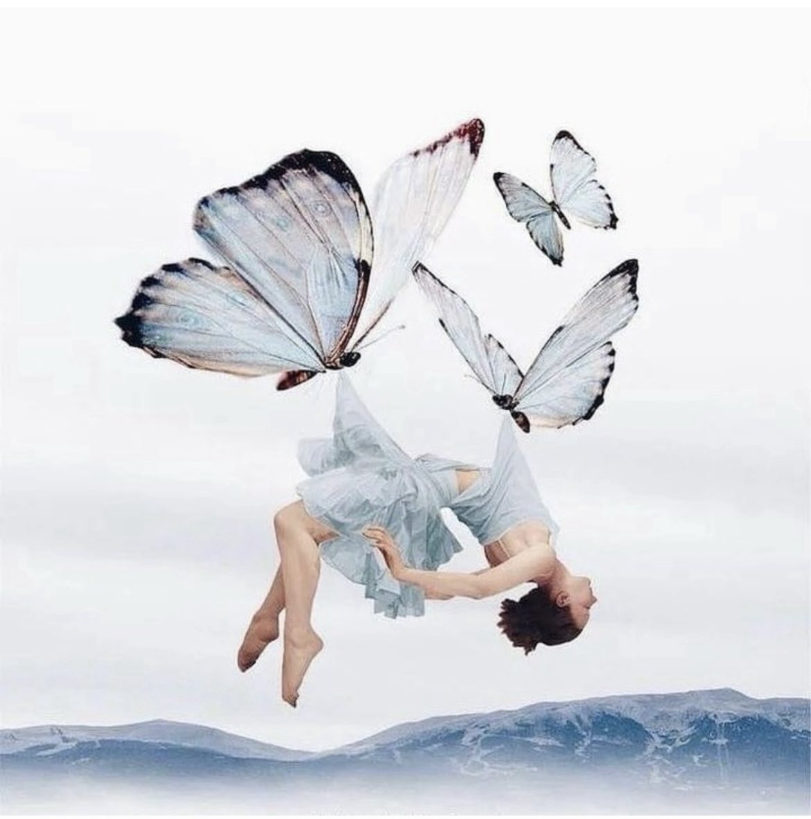 Yuksel Usluduran tweet media