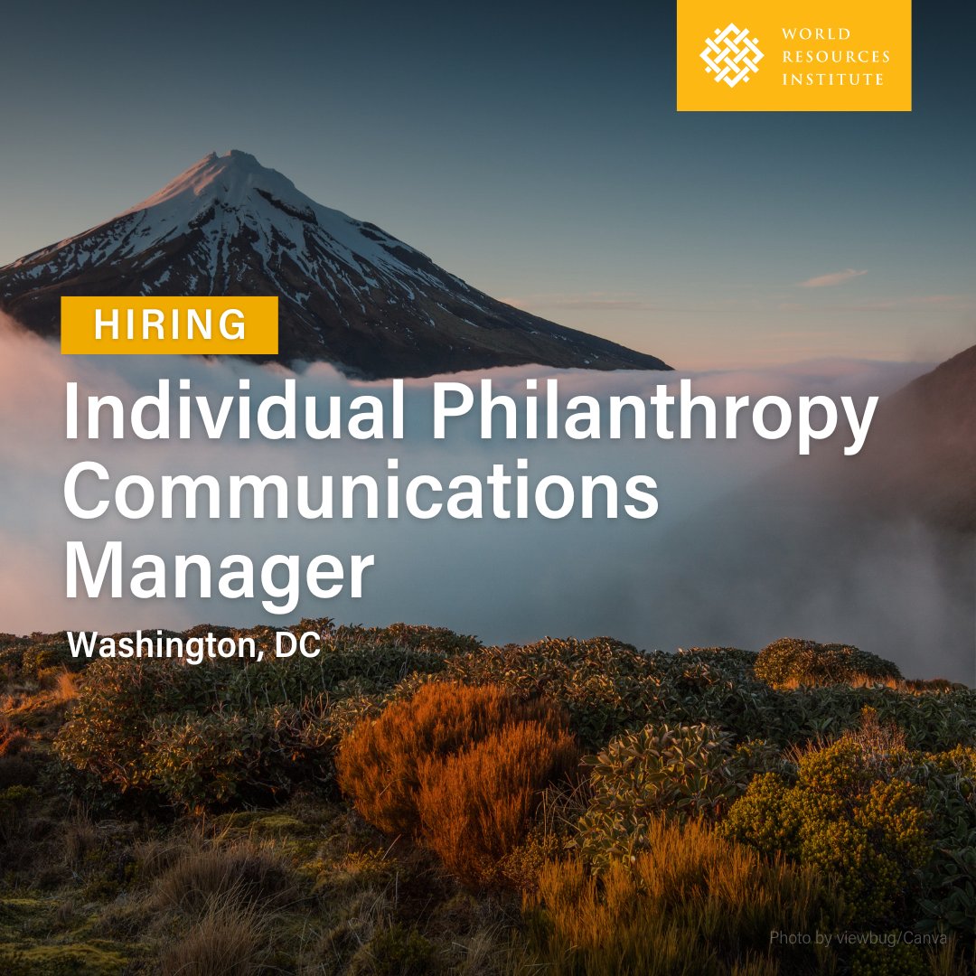 We're hiring! 📢 

We're looking for a Individual Philanthropy Communications Manager who will use their storytelling skills to inspire and engage donors. 🌎

Read more &amp; apply👉 bit.ly/4gg8cHN