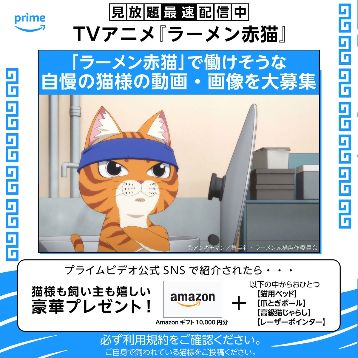猫様 確認用 猫様 確認用 おきゃん猫様オーダー確認用 おきゃ